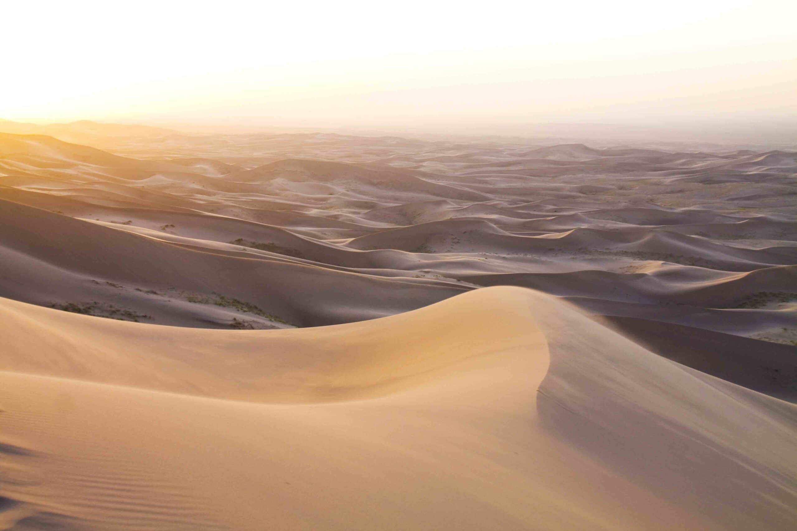 The Gobi Desert 