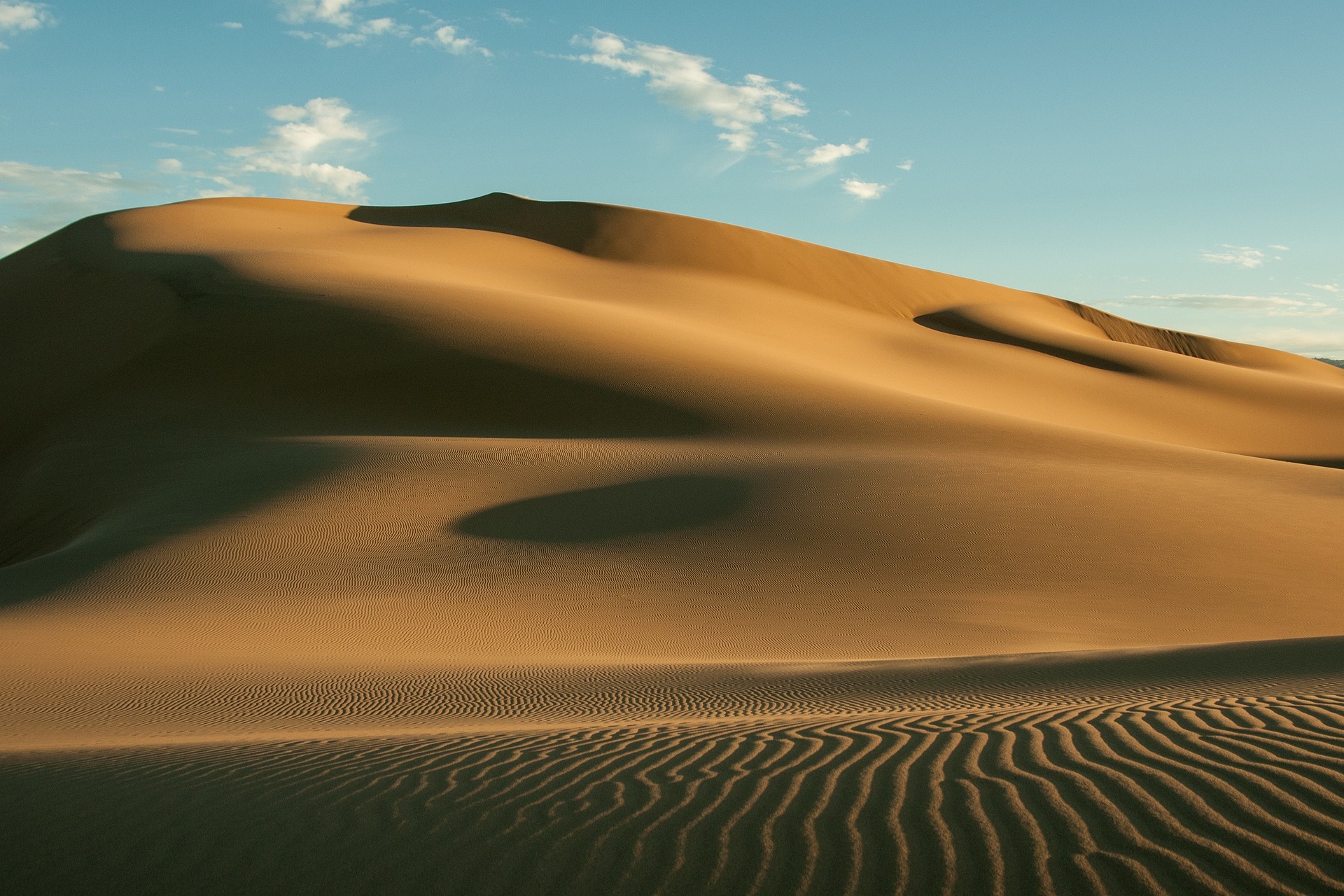 The Gobi Desert