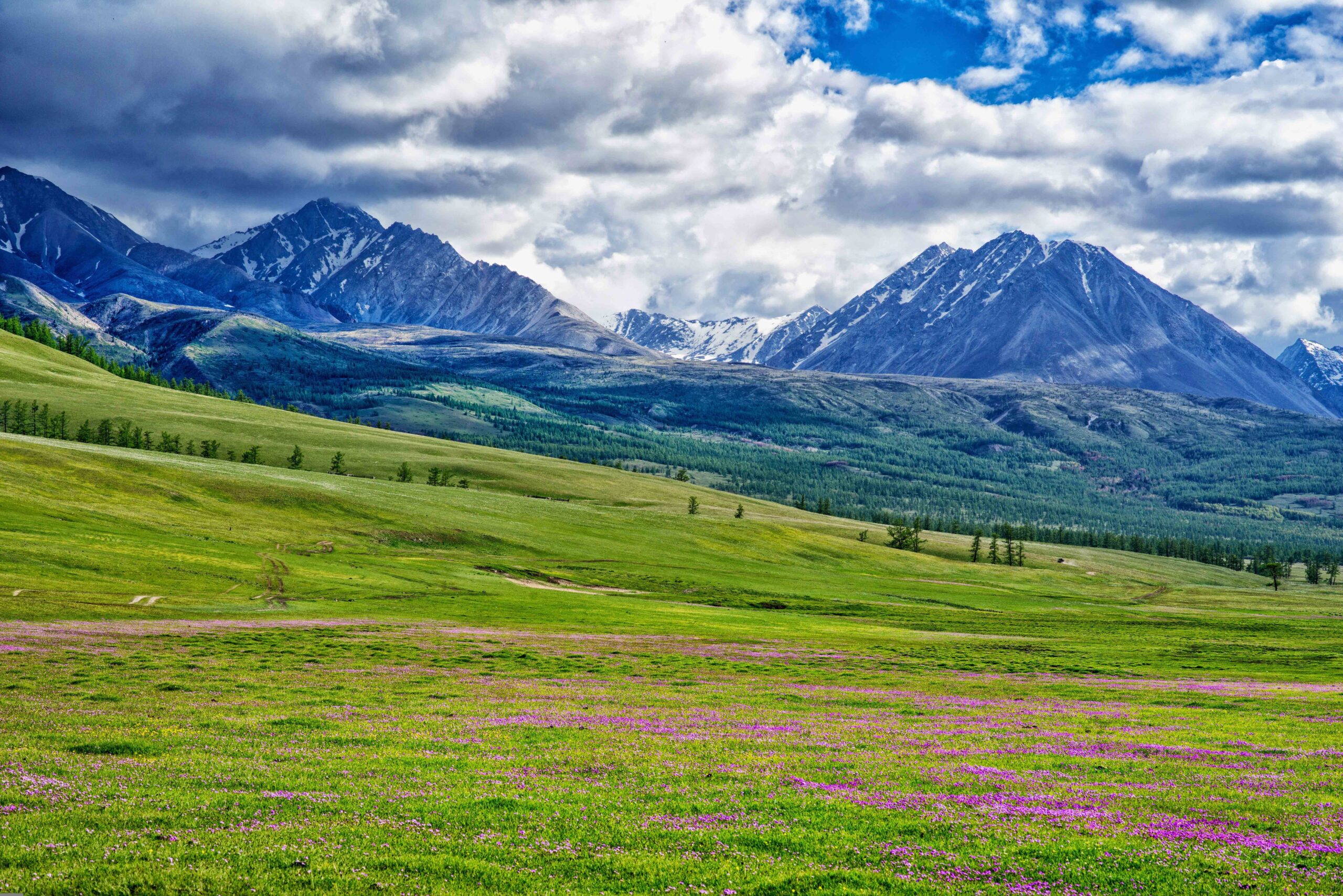 The 8 best National parks and Nature Reserves in Mongolia!
